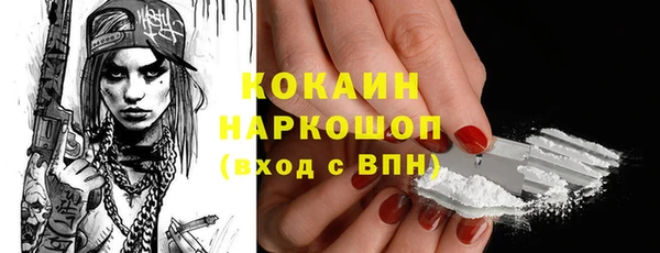 сатива Бородино