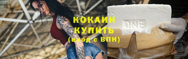 крисы Верея
