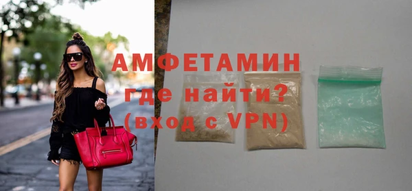 сатива Бородино