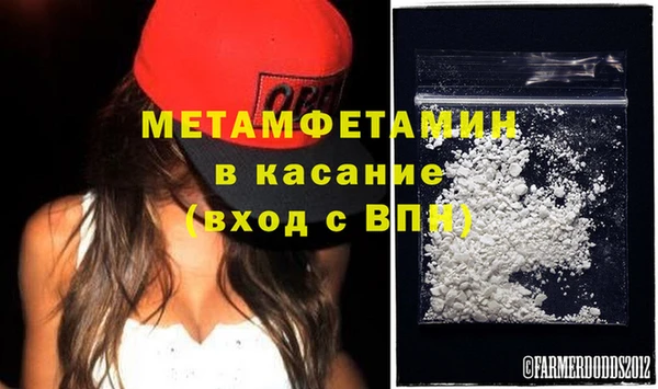 сатива Бородино