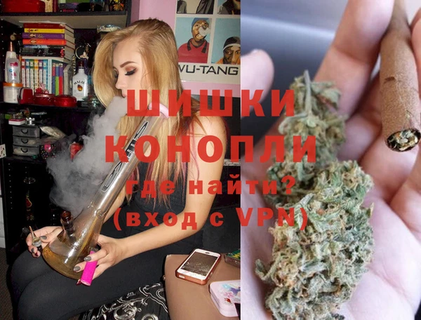 сатива Бородино