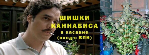 крисы Верея