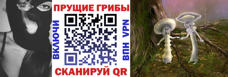 Галлюциногенные грибы MAGIC MUSHROOMS  ОМГ ОМГ как войти  Люберцы  где продают наркотики 